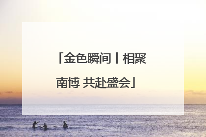 金色瞬间丨相聚南博 共赴盛会