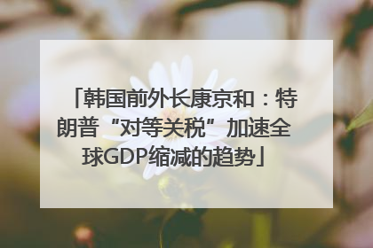 韩国前外长康京和：特朗普“对等关税”加速全球GDP缩减的趋势