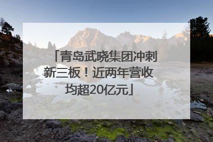 青岛武晓集团冲刺新三板！近两年营收均超20亿元