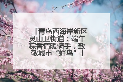 青岛西海岸新区灵山卫街道：端午粽香情暖骑手，致敬城市“蜂鸟”