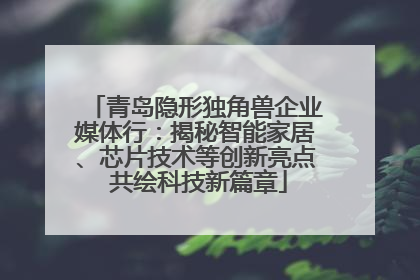 青岛隐形独角兽企业媒体行：揭秘智能家居、芯片技术等创新亮点 共绘科技新篇章