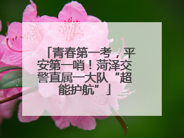 青春第一考，平安第一哨！菏泽交警直属一大队“超能护航”