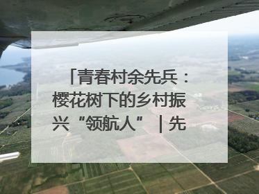 青春村余先兵：樱花树下的乡村振兴“领航人”｜先锋引领⑪