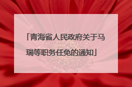 青海省人民政府关于马瑞等职务任免的通知