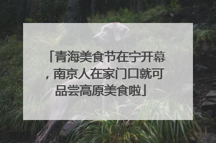青海美食节在宁开幕，南京人在家门口就可品尝高原美食啦