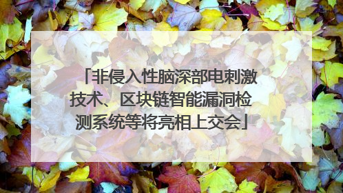 非侵入性脑深部电刺激技术、区块链智能漏洞检测系统等将亮相上交会