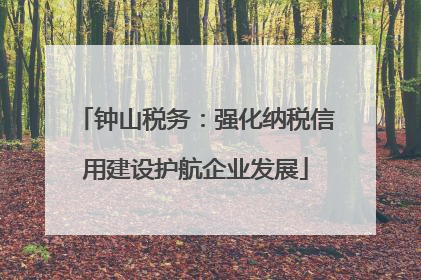 钟山税务：强化纳税信用建设护航企业发展