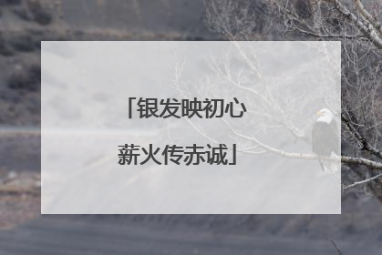 银发映初心 薪火传赤诚