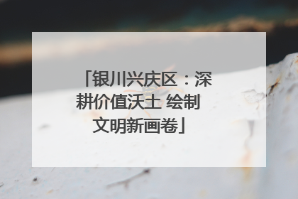 银川兴庆区：深耕价值沃土 绘制文明新画卷