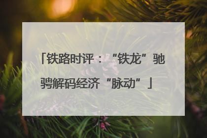 铁路时评：“铁龙”驰骋解码经济“脉动”