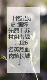 铭记历史 缅怀先烈丨苏村阻击战：126名英烈血肉筑长城