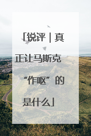 锐评｜真正让马斯克“作呕”的是什么