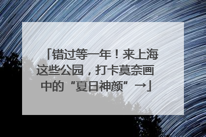 错过等一年！来上海这些公园，打卡莫奈画中的“夏日神颜”→
