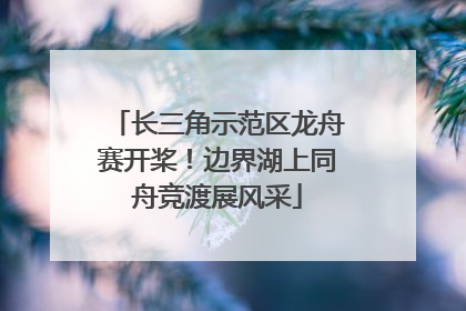 长三角示范区龙舟赛开桨！边界湖上同舟竞渡展风采