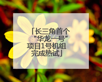 长三角首个“华龙一号”项目1号机组完成热试