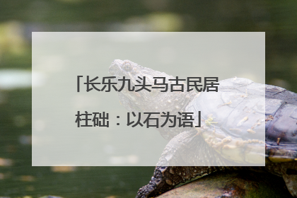 长乐九头马古民居柱础：以石为语
