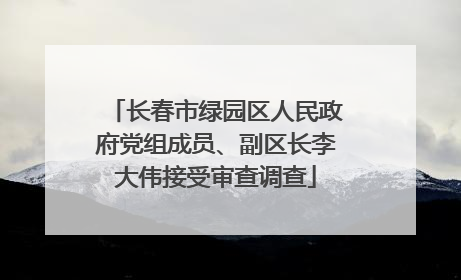 长春市绿园区人民政府党组成员、副区长李大伟接受审查调查