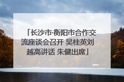 长沙市·衡阳市合作交流座谈会召开 吴桂英刘越高讲话 朱健出席