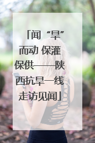 闻“旱”而动 保灌保供——陕西抗旱一线走访见闻