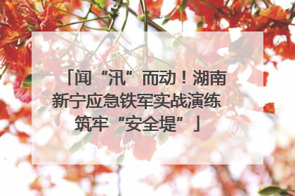闻“汛”而动！湖南新宁应急铁军实战演练筑牢“安全堤”