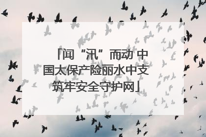 闻“汛”而动 中国太保产险丽水中支筑牢安全守护网
