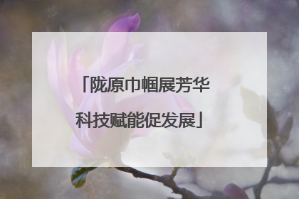 陇原巾帼展芳华 科技赋能促发展