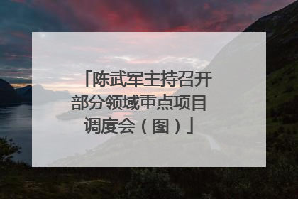 陈武军主持召开部分领域重点项目调度会（图）