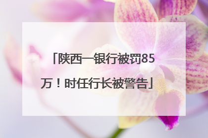 陕西一银行被罚85万！时任行长被警告