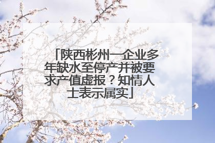 陕西彬州一企业多年缺水至停产并被要求产值虚报？知情人士表示属实