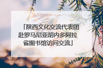 陕西文化交流代表团赴罗马尼亚胡内多阿拉省图书馆访问交流