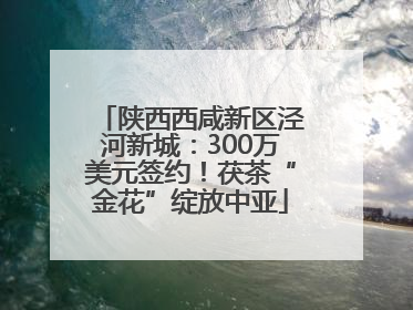陕西西咸新区泾河新城：300万美元签约！茯茶“金花”绽放中亚