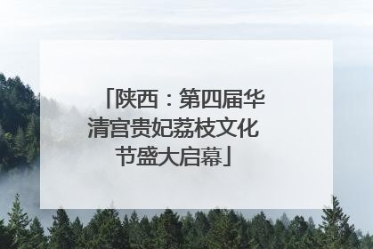 陕西：第四届华清宫贵妃荔枝文化节盛大启幕