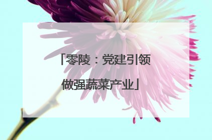 零陵：党建引领 做强蔬菜产业
