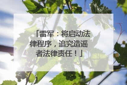 雷军：将启动法律程序，追究造谣者法律责任！