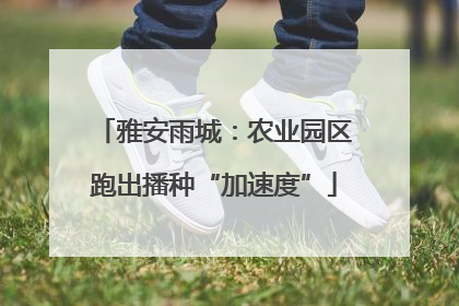 雅安雨城：农业园区跑出播种“加速度”