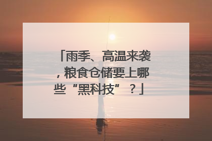 雨季、高温来袭，粮食仓储要上哪些“黑科技”？