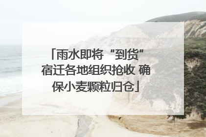 雨水即将“到货” 宿迁各地组织抢收 确保小麦颗粒归仓
