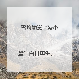 雪豹幼崽“凌小蛰”百日重生
