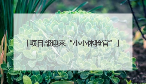 项目部迎来“小小体验官”