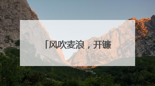 风吹麦浪，开镰啦！顺义15万亩小麦迎来丰收