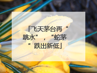 飞天茅台再“跳水”，“蛇茅”跌出新低