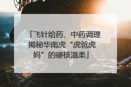 飞针给药、中药调理 揭秘华南虎“虎爸虎妈”的硬核温柔