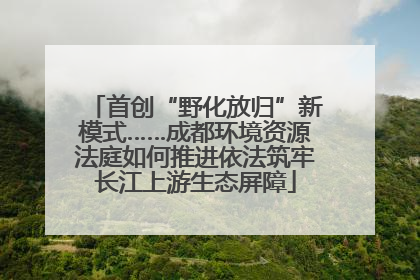 首创“野化放归”新模式……成都环境资源法庭如何推进依法筑牢长江上游生态屏障