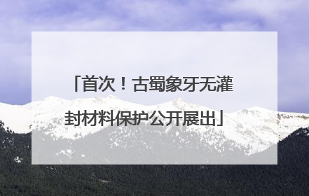 首次！古蜀象牙无灌封材料保护公开展出