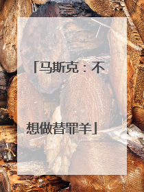 马斯克：不想做替罪羊
