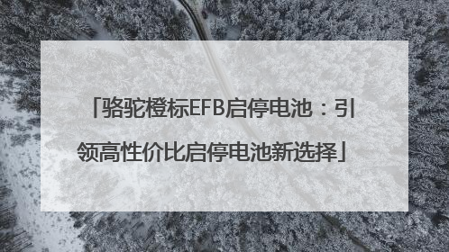 骆驼橙标EFB启停电池：引领高性价比启停电池新选择