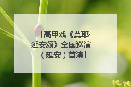 高甲戏《莫耶·延安颂》全国巡演（延安）首演