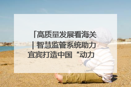 高质量发展看海关｜智慧监管系统助力宜宾打造中国“动力电池之都”