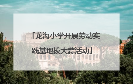 龙海小学开展劳动实践基地拔大蒜活动