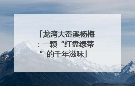 龙湾大岙溪杨梅：一颗“红盘绿蒂”的千年滋味